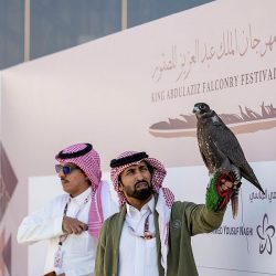 وزارة الثقافة والهيئة الملكية لمحافظة العلا تحتفلان بمناسبة مرور 20 عامًا على الشراكة السعودية – الفرنسية