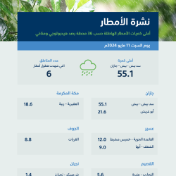 الداخلية : ضبط (12) متورطاً و (19710) مخالفين لأنظمة الإقامة والعمل وأمن الحدود