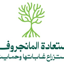 أمانة العاصمة المقدسة تكثف جهودها في إزالة الهياكل والسيارات التالفة