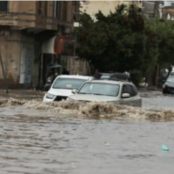 “دنيا أبو طالب” تتأهّل لنهائي نزال الميدالية البرونزية في أولمبياد باريس